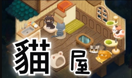 《貓咪和秘密森林》：黃魚全解析與養成攻略