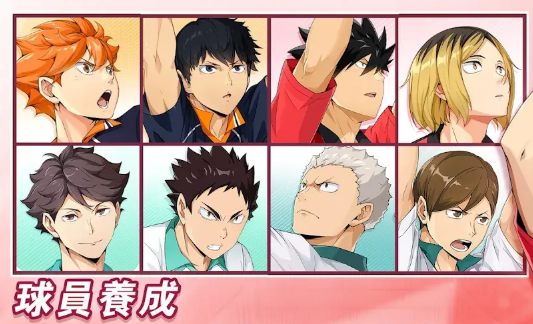 排球少年fly high角色排名